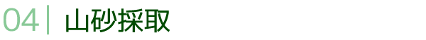 �R���̎�
